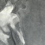 Lizete Druka